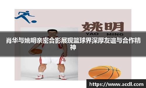 jinnianhui金年会