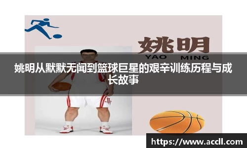 金年会平台