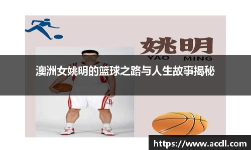 金年会金字招牌